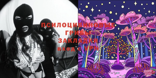 индика Богданович