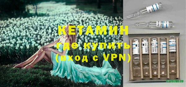 индика Богданович