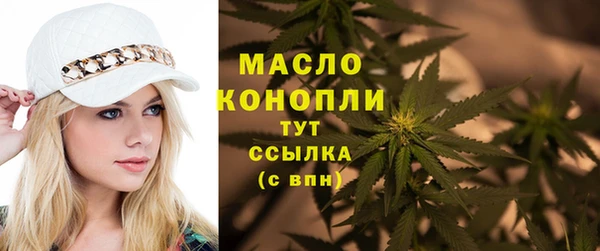 индика Богданович