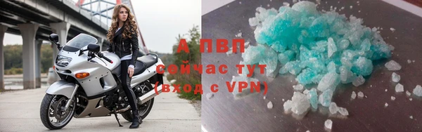 СК Богородицк