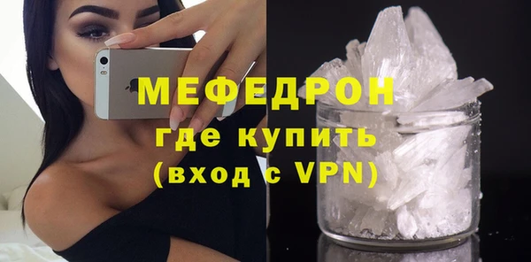 индика Богданович