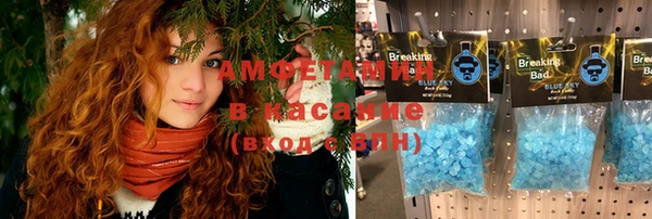 индика Богданович