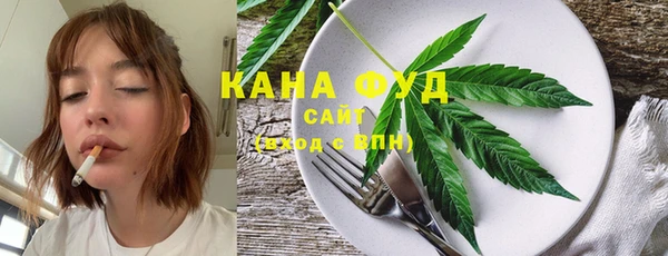 дмт Бронницы
