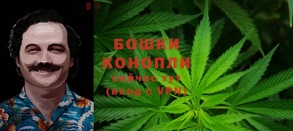 индика Беломорск