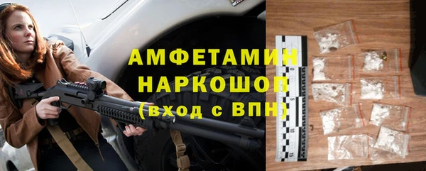 индика Богданович