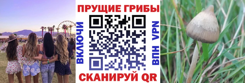 Галлюциногенные грибы MAGIC MUSHROOMS  Верхняя Тура 